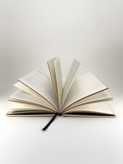 Bucket List in English - Image 6